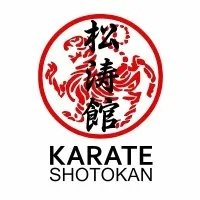 Японское боевое искусство каратэ-до. Стиль – Сётокан (шотокан).